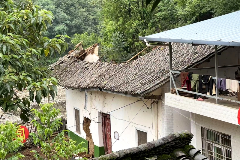 20250828/68b0053a9e19f.jpg 3.jpg